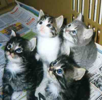 Please won't you help us?
