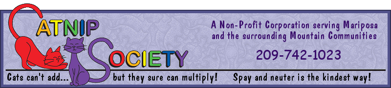 Catnip Society