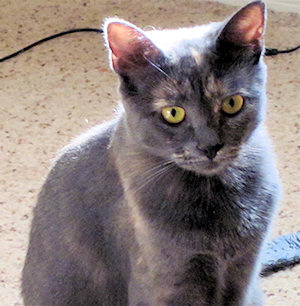 Mia
