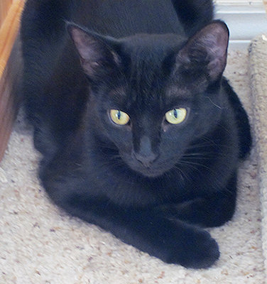 Onyx