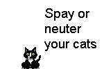 Cats can't add but they sure can mulitply!